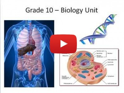 Biology Grade 10