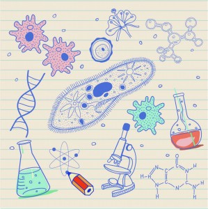 Biology Grade 10 c