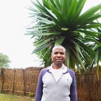 Profile picture of Kaumba Bisenga